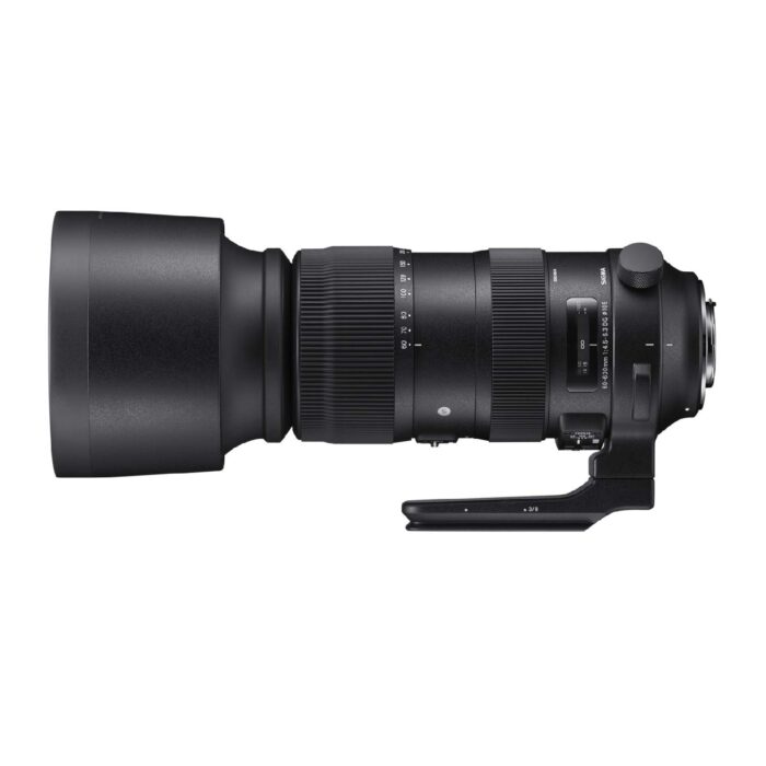 Sigma 60-600mm f/4.5-6.3 DG OS HSM Sports Lens for Canon DSLR Cameras (Black) - Image 3