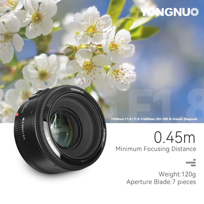 Yongnuo_ YN50 mm F1.8 Lens Large Aperture Auto Focus Lens for Canon EF Mount EOS Cameras - Image 3